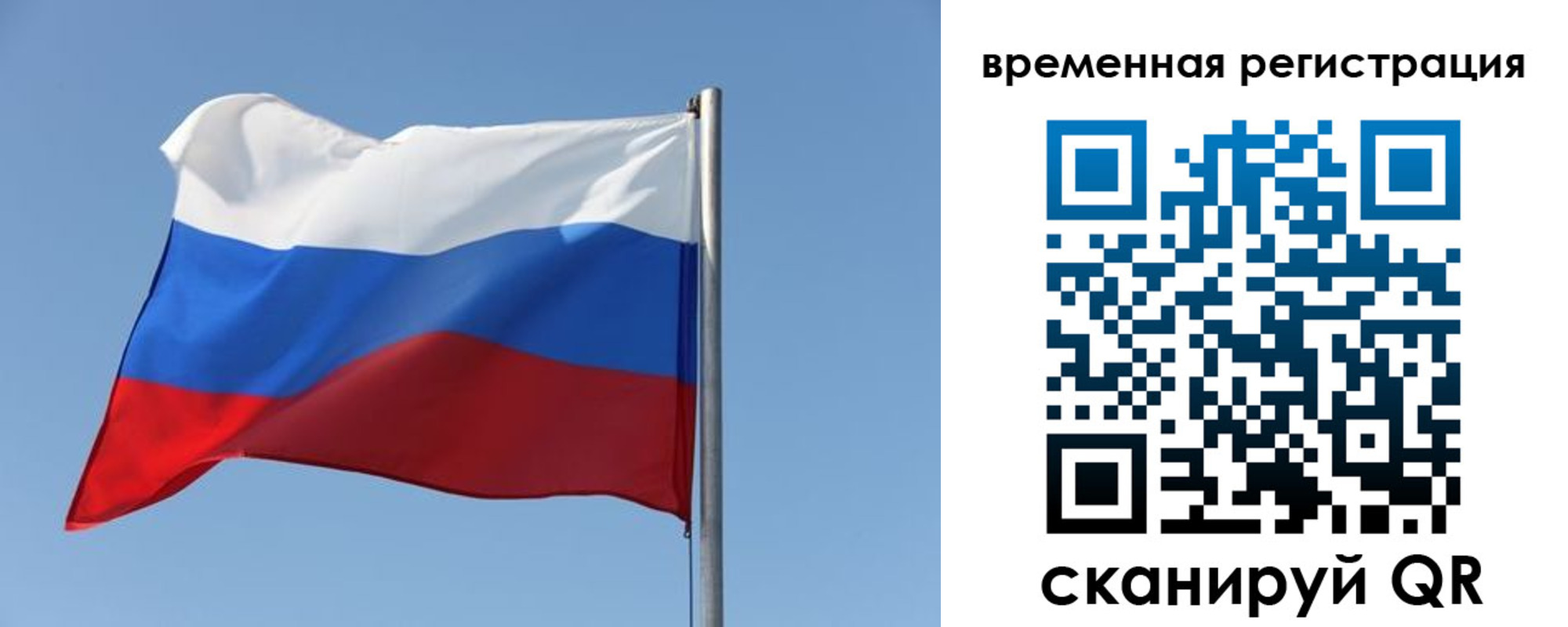 временная регистрация поиск в Лесном